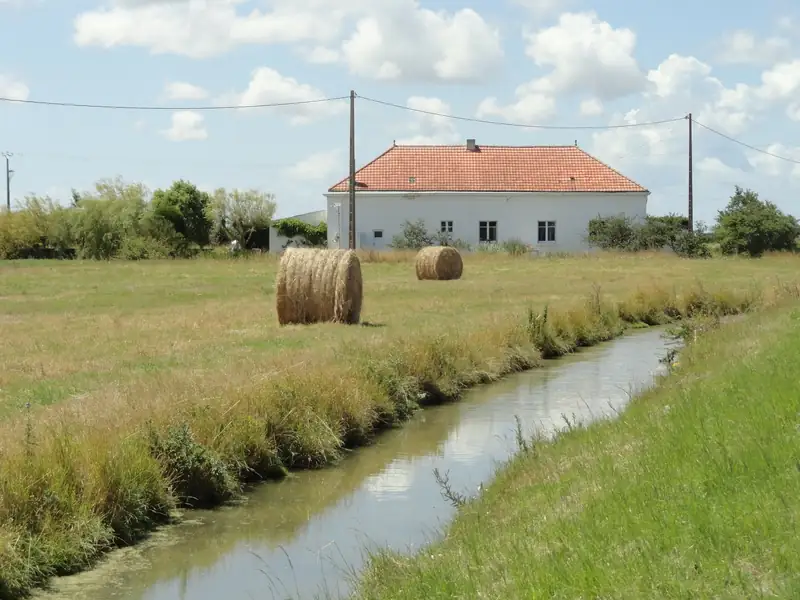 Longère blanche au toit de tuiles derrière un étier, dans le marais de Bouin, en Vendée