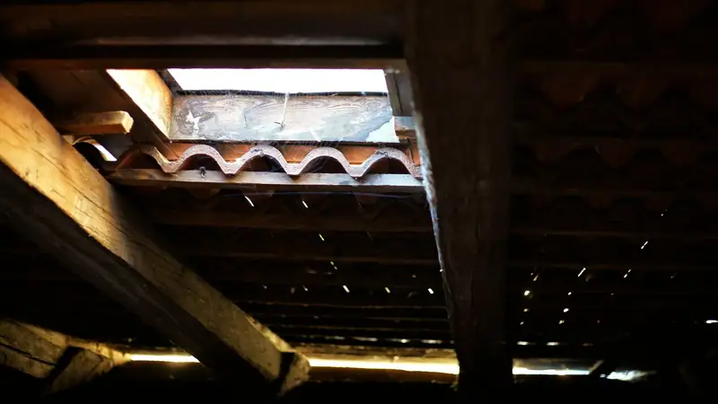 Dessous de toit vu depuis les combles : chevrons, tuiles et lumière d’une tabatière